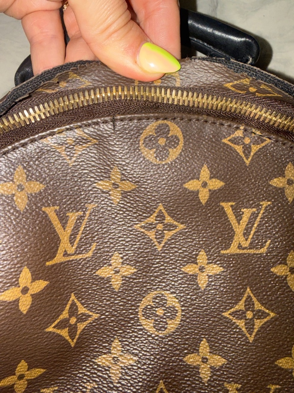 Louis Vuitton Palm Springs MM - Picture 4 of 11